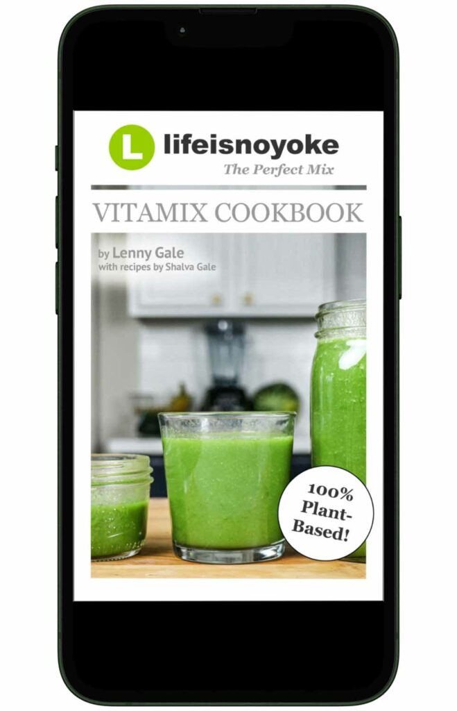 100% plant-based recipe in The Perfect Mix Vitamix cookbook by Life is NOYOKE.